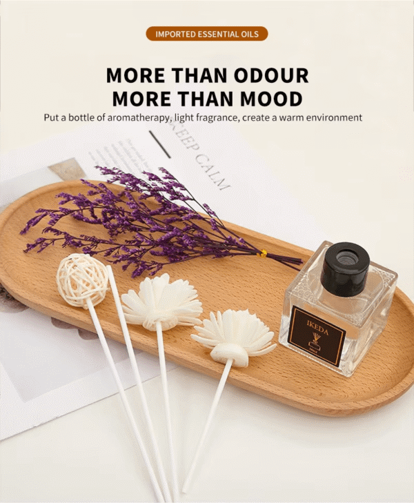 B2B Luxury Reed Diffuser - Long-Lasting Hotel Fragrance - Image 4